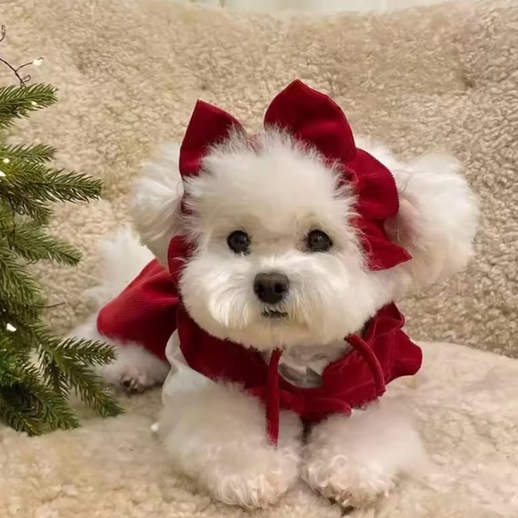 Red Velvet puppy dog Dress with Bow Christmas outfits - Picture 4 of 9